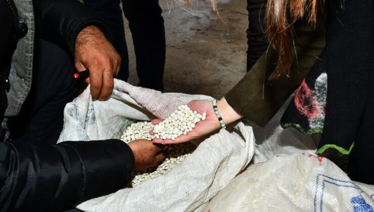 İzmir’de yerli kuru fasulyeyle 1,5 milyon liralık destek